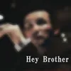 About Hey Brother Song