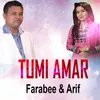 About Tumi Amar Song
