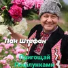 About Пригощай поцілунками Song