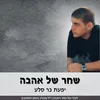 About שחר של אהבה Song