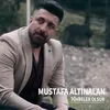 About Tövbeler Olsun Song