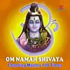 About LORD SHIVA OM NAMHA SHIVAYA MANTRA CHANTING 108 TIMES Song