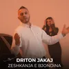 Zeshkanja e Bjondina