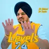 About Levels Song