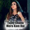 About Tujhy Chana Mera Kam Hai Song