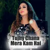 Tujhy Chana Mera Kam Hai