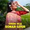 About Chere Dile Sonar Gour Song