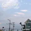 About Crazy cute Song