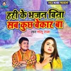 About Hari Ke Bhajan Bina Sab Kuch Bekaar Ba Song