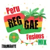 Peru Reggae Fusions