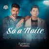 About Só a Noite Sabe Dizer Song