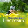 About Нестямно Song