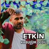 About Kabulum Değil Song