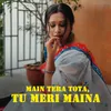 About Main Tera Tota, Tu Meri Maina Song