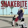 Snakebite