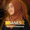 About Sanes Song