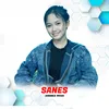 About Sanes Song