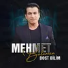 About Dost Bilim Song