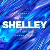 About SHELLEY Song