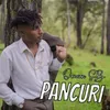 About Pancuri Song