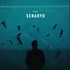 About SENARYO Song