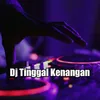 About Dj Tinggal Kenangan Song