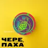 About Черепаха Song