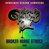 About BROKEN HORSE STANCE Song