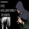 About The Melancholy Echoes Song