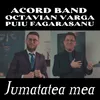About Jumatatea mea Song