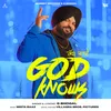About God Knows Song