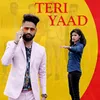 About Teri Yaad Song