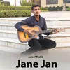 About Jane Jan Song