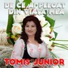 Tomis Jr Pentru fiecare floare