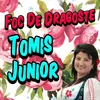 Foc De Dragoste