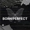 About Born Perfect Song