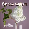 About Белая сирень Song