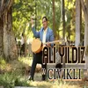 About Cıvıklı Song