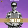 About Gulaab Song