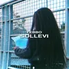 About Sollevi Song