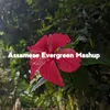 Assamese Evergreen