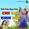 About Radha Nache Shyam Nache Song