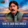 About Tain Te Sadi Bas Dhola Song