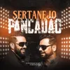 About Sertanejo Pancadão Song