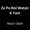 About Za Pa Bal Watan K Yam Song
