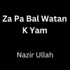 Za Pa Bal Watan K Yam