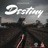 About Destiny Song