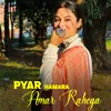 About Pyar Hamara Amar Rahega Song
