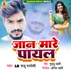 About Jaan Mare Payal Song
