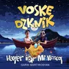 About Voske Zknik | Hayer Irar Mi Kereq Song